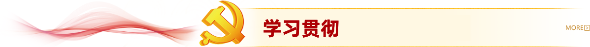 学习贯彻