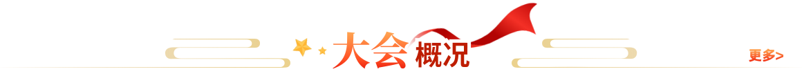 大会概况